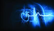 Human heart with ecg graph, illustration